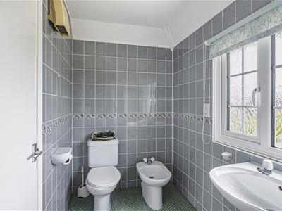 Picture 17